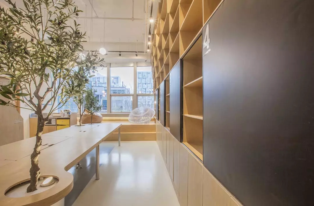 牛在墻上飛，猴子樹梢醉；這是在動物園辦公嗎？